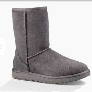 Classic short UGG boots in grey